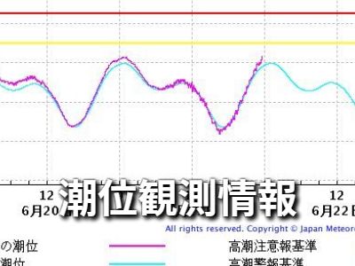 潮位観測情報