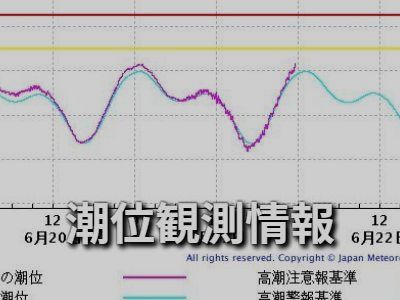 潮位観測情報